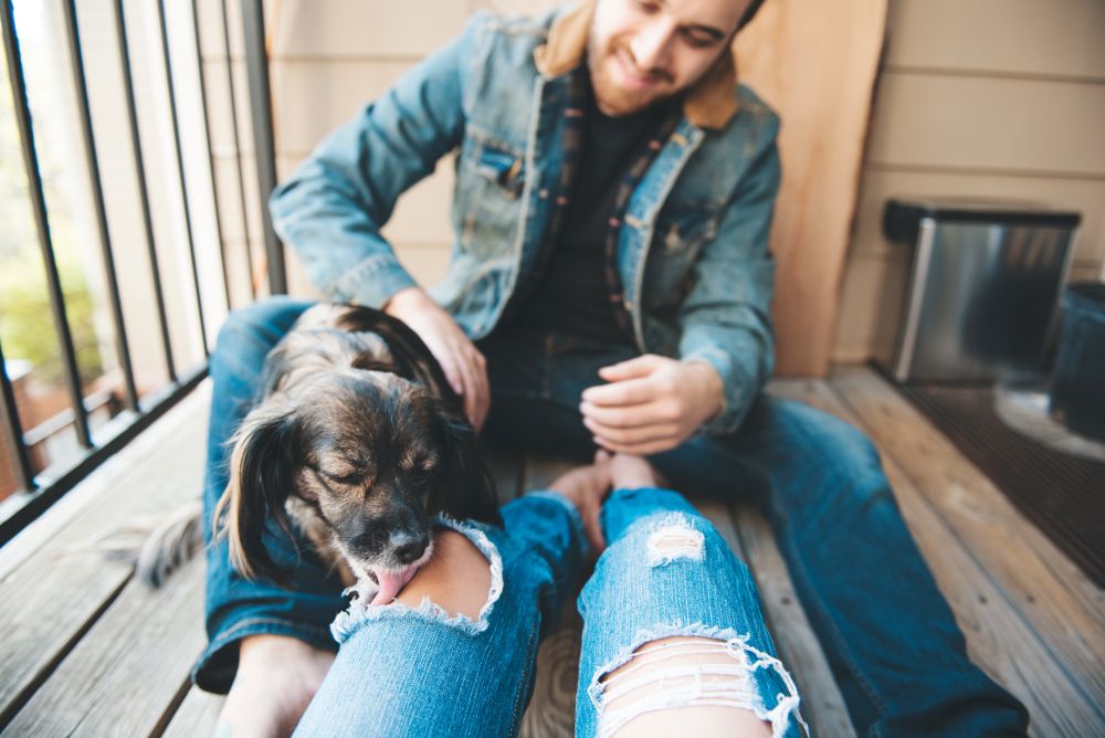 Man and dog relaxing on porch
