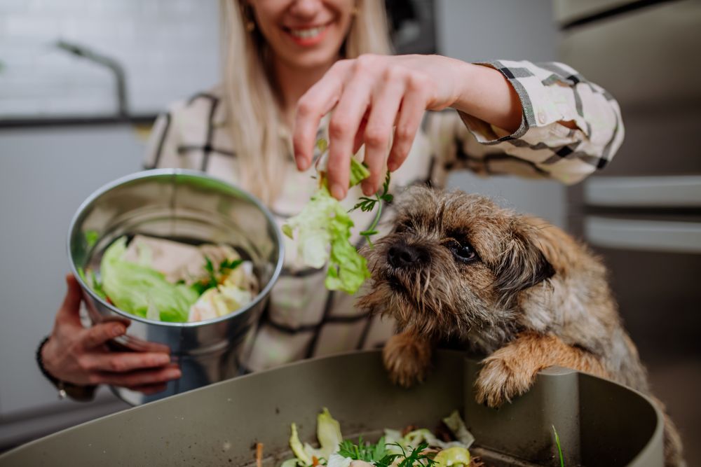 Woman composting with dog watching